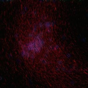 素股摩擦在线免费观看
